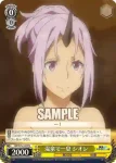 TSK/S70-101 PR 豊かな谷間のある生活 リムル