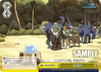 TSK/S70-T09 TD 名付け