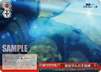 TSK/S82-066 CR 最近学んだ手加減