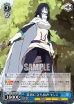 TSK/S82-071S SR 果敢に立ち向かうシズ