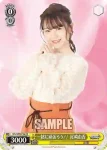 WS/WPR-P05 PR ちょこたん