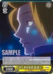 WTR/S85-021 C 強化聴覚 菊地原 士郎