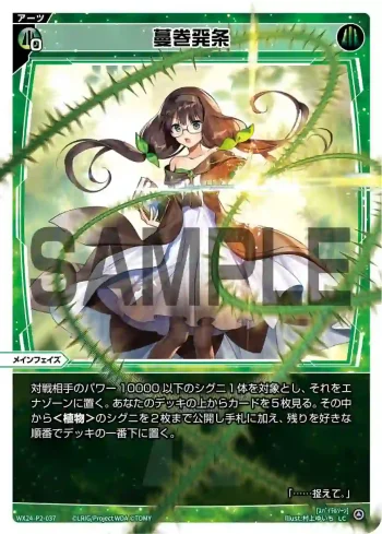 WX24-P2-037 LC 蔓巻発条