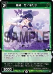 WX24-P4-080 C 羅植 サイネリア