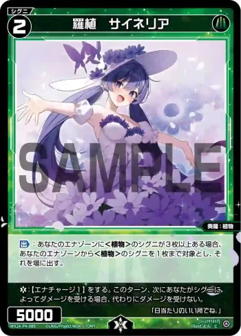 WX24-P4-080 C 羅植 サイネリア