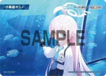 WXDi-CP02-TKR20 TKR 【トークン】小鳥遊ホシノ
