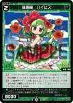 WXDi-P08-071 C 羅踊植 ハイビス