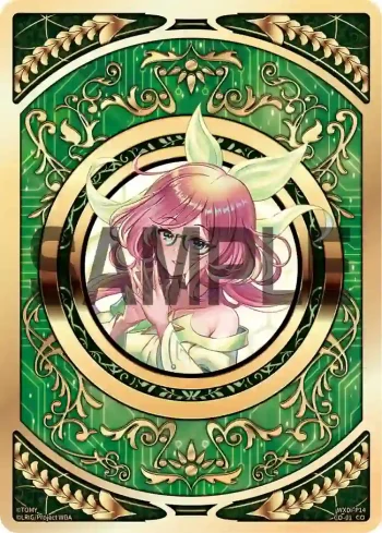 WXDi-P14-CO-01 CO コインカード(ママ)