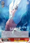 ZLS/W93-058 U 巽 幸太郎