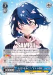 ZLS/W93-074 RR 伝説の平成のアイドル 水野愛