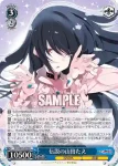 ZLS/W93-079 R 伝説の山田たえ