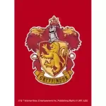 movic 卡套 Harry Potter スリザリン(No.HP002)