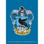 movic 卡套 Harry Potter スリザリン(No.HP002)