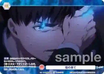 AOEX/01B-040CP CP 雪の果て