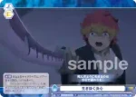 AOEX/01B-067CP CP 青い炎
