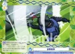 BLK/01S-017 SD 才能の原石たち