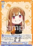 CFP/01B-010B BR からぴち えと