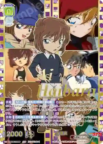 (簽名)CNN/02E-010SSP SSP 灰原哀