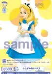 DSY/01B-007D DYR ふしぎの国のアリス