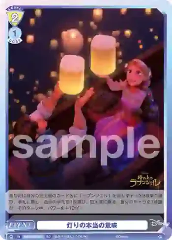 DSY/02S-019 SD 灯りの本当の意味