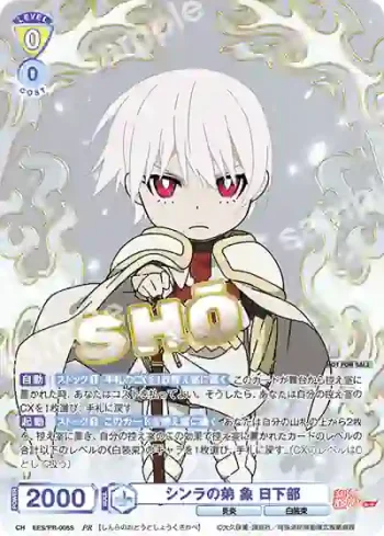 EES/PR-005S PR シンラの弟 象 日下部