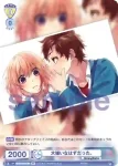 HNW/01B-013B BR 大嫌いなはずだった。
