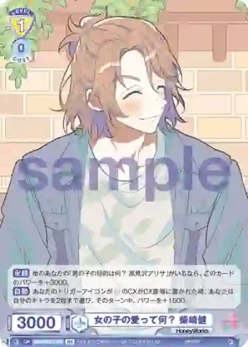 HNW/01B-019B BR 女の子の愛って何？ 柴崎健