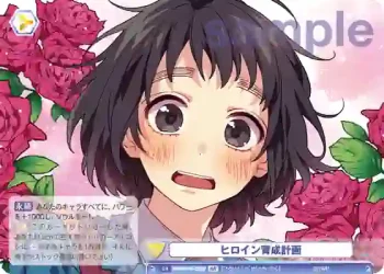 HNW/01B-026B BR ヒロイン育成計画