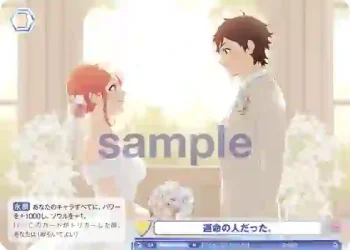 HNW/01B-027 N 運命の人だった。