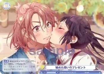 HNW/01B-028 N 秘めた想いのプレゼント