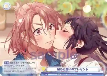 HNW/01B-028B BR 秘めた想いのプレゼント