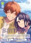 HNW/01B-053B BR 彼氏の資格 南&なくる