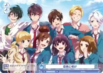 HNW/01S-019 SD 恋色に咲け