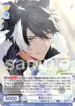 HOS/01B-003 RR 岸堂天真