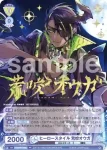 HOS/PR-005 PR ヒーロースタイル 荒咬オウガ