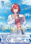 HOS/PR-007 PR 20歳のバースデー 奏手イヅル