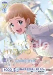 ISM/02B-008 R 五色の聖炎が輝く ピエール