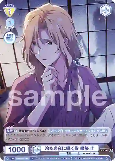 ISM_02B-015 ISM/02B-015 N 冷たき夜に囁く影 都築 圭