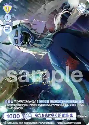 ISM/02B-015ISM ISM 冷たき夜に囁く影 都築 圭