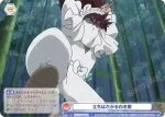 NTMR/01B-043 N 立ちはだかる白き闇