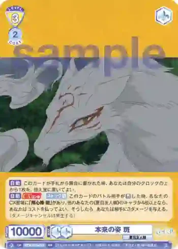 NTM/01B-003 RR 本来の姿 斑