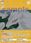 (簽名)NTM/01B-003SP SP 本来の姿 斑