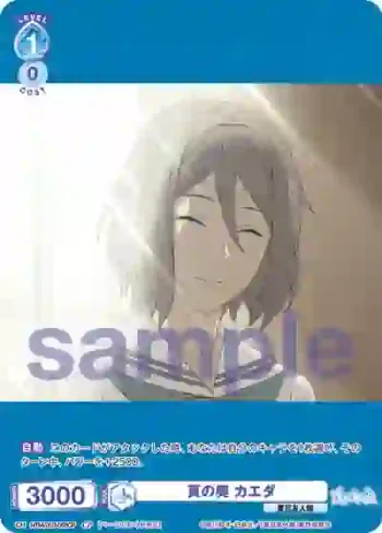 NTM/01B-058CP CP 頁の奥 カエダ