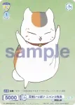 NTM/01S-011CP CP 元気いっぱい ニャンコ先生