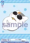 NTM/PR-004 PR ニャンコ先生