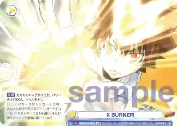 RBN/01B-021B BR X BURNER