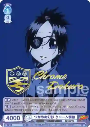 RBN/PR-008S  つかめぬ幻影 クローム髑髏