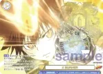 RBN/PR-008S  つかめぬ幻影 クローム髑髏