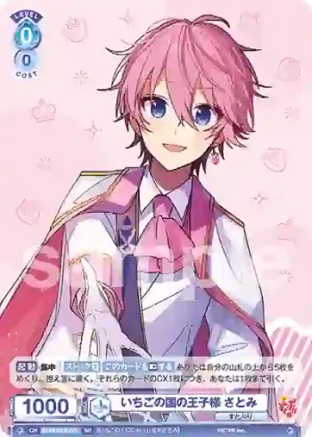STPR/01S-001 SD いちごの国の王子様 さとみ
