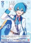 STPR/01S-013B BR いちごの国の王子様 ころん